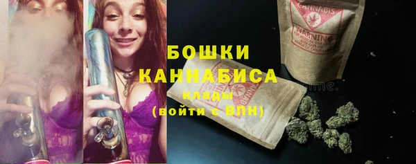 сатива Дмитров