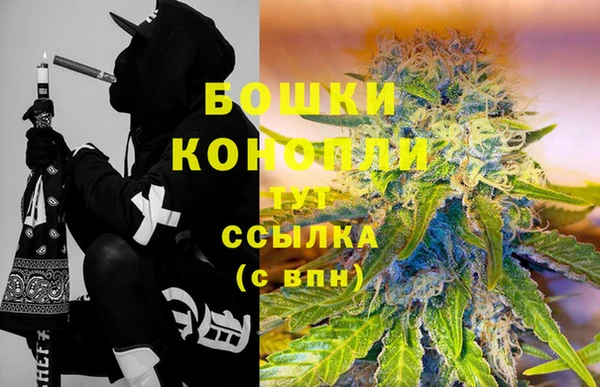 сатива Дмитров
